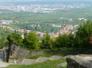 2017 Pfalz