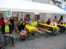2009 Stadtfest