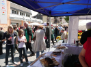 2009 Stadtfest