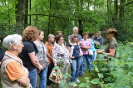 2014 Kräuterwanderung
